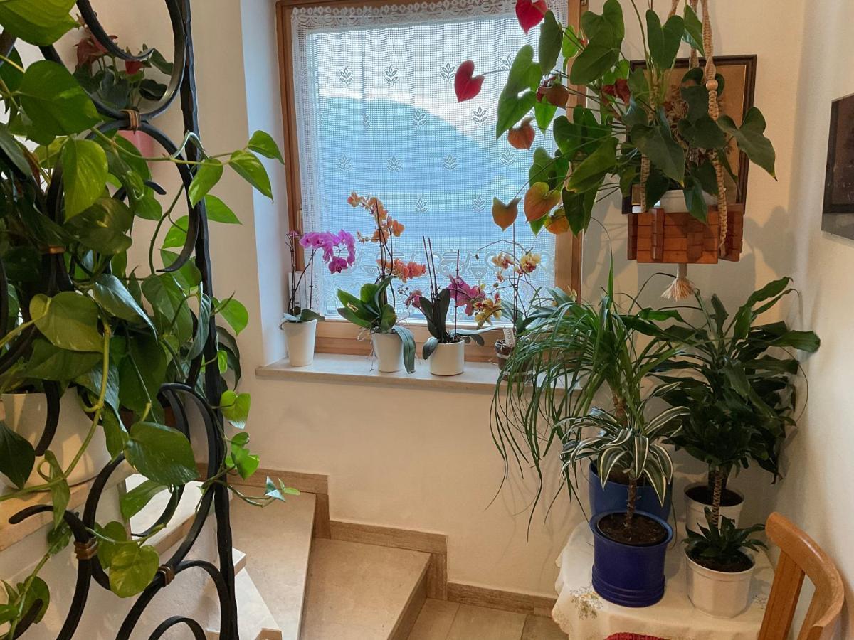 Alpenblick Bed & Breakfast Sterzing Buitenkant foto
