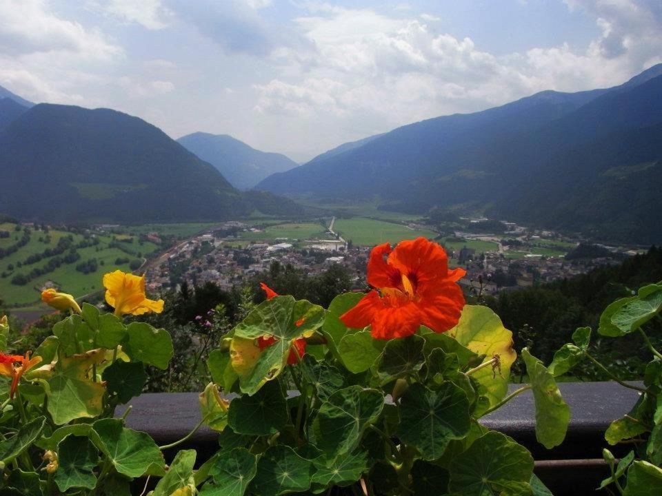 Alpenblick Bed & Breakfast Sterzing Buitenkant foto